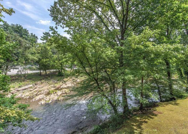 Cl 204 River Mist Holiday home